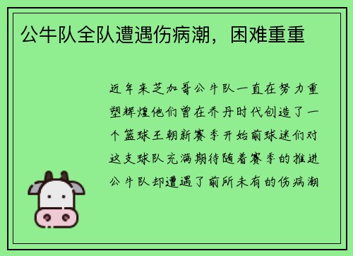公牛队全队遭遇伤病潮，困难重重
