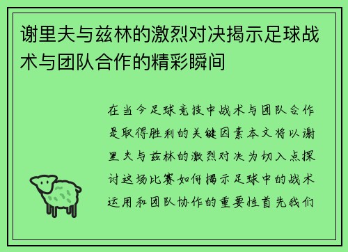 谢里夫与兹林的激烈对决揭示足球战术与团队合作的精彩瞬间