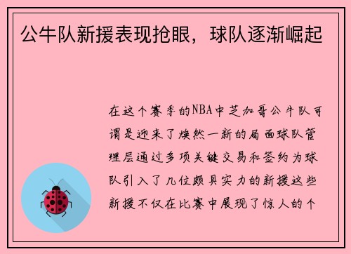 公牛队新援表现抢眼，球队逐渐崛起
