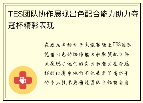 TES团队协作展现出色配合能力助力夺冠杯精彩表现