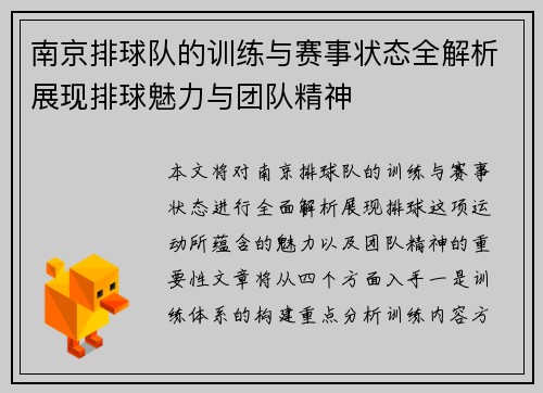 南京排球队的训练与赛事状态全解析展现排球魅力与团队精神